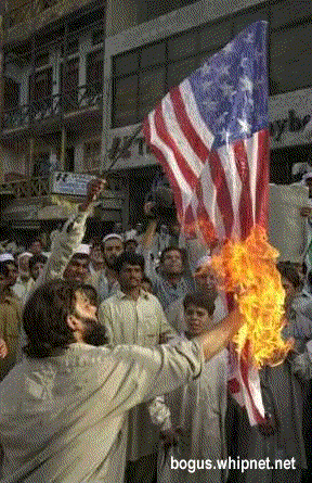 flag protest, priceless protest, flag burner