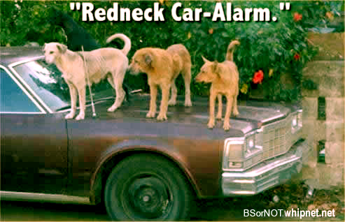 redneck car anti theft device