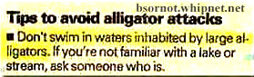 avoid alligator attacks