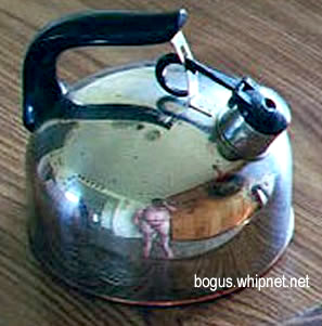 Ebay Tea Pot, Nude Photographer