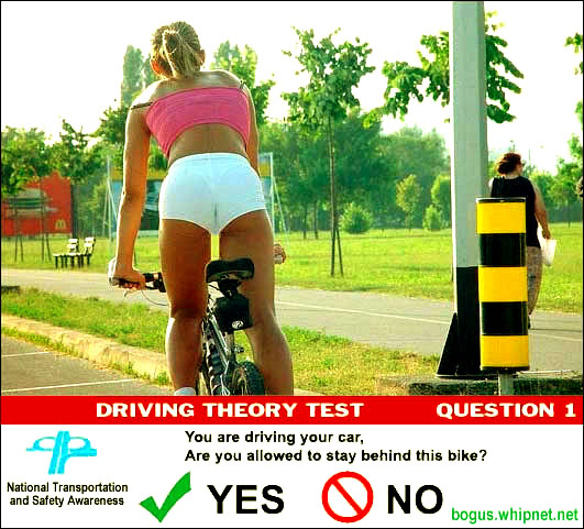 Driving Theory Test, National Transportation safety awareness