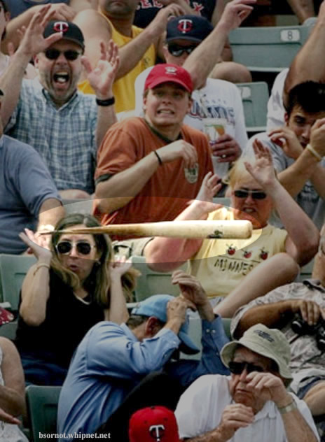 priceless baseball, dangerous bat, flying bat