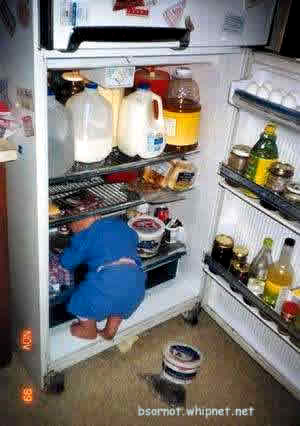 fridge journey, coldspot, refrigerator