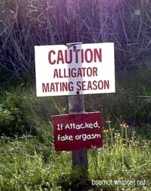alligator mating season, fake orgasm