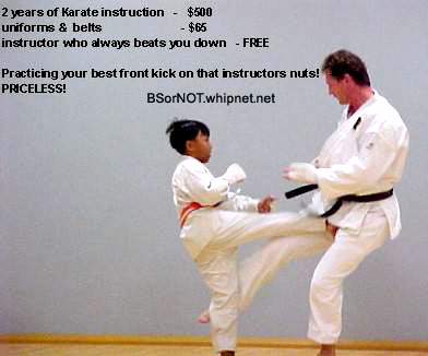 priceless karate, karate instruction blooper