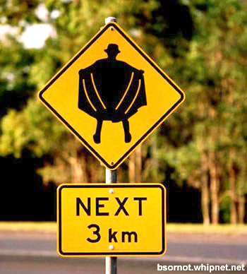 Flasher ahead, priceless sign