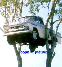Redneck Parking