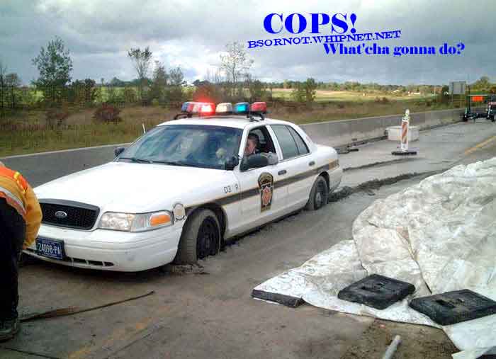 stupid cops, cops, what ya gonna do