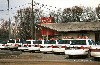 Cops at Donut Shop, cops, donut shop, pastry, bakery