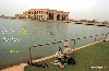 Priceless Palace Fishing