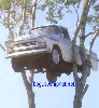 Redneck Treehouse