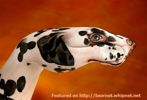 dalmation dog, canine art, dogs playing poker