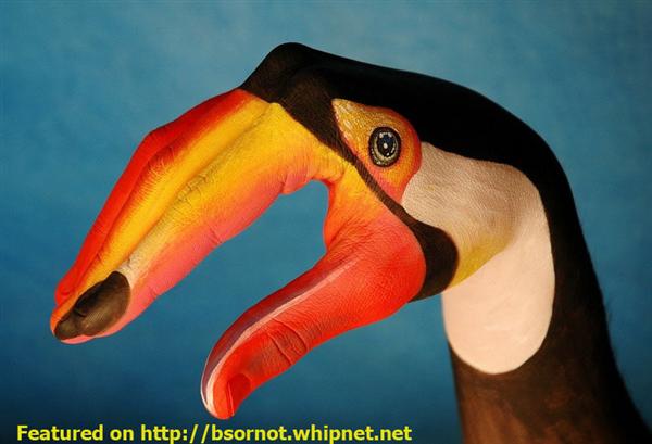 toucan, hand art