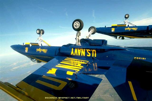 USAF Blue Angels top down