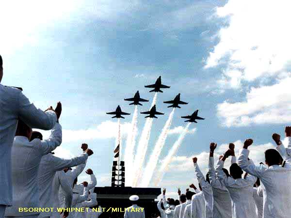 Blue Angels Fly Over