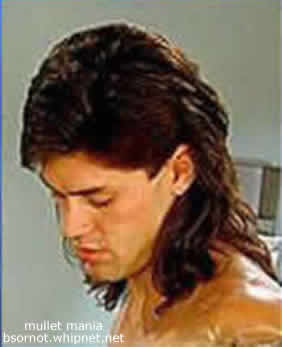 Pornstar Mullet