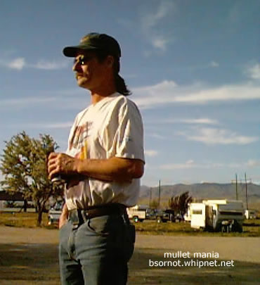 Sports Fan Mullet