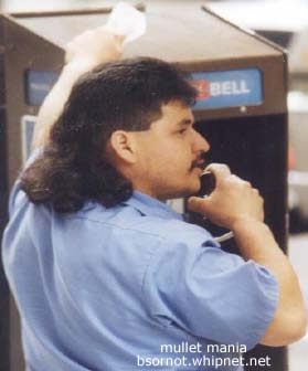 Repairman Mullet