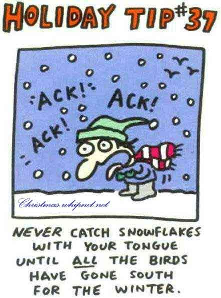 snowflakes, eat snow flakes, don't eat snow flakes, catch snowflakes