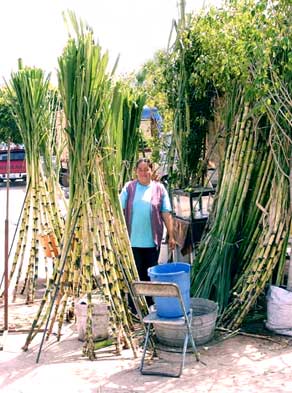 map peru sugar cane ethanol