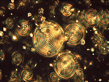 Optical Computers - liquid crystals suspended in glycerol