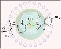 HIV Chemical Components